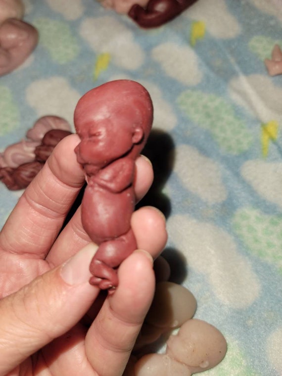 Meerdere Grommen Hoe dan ook 12 weken zwangerschap foetus herdenkingsbaby - Etsy België