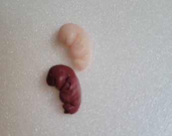 8 week gestational fetus silicone baby