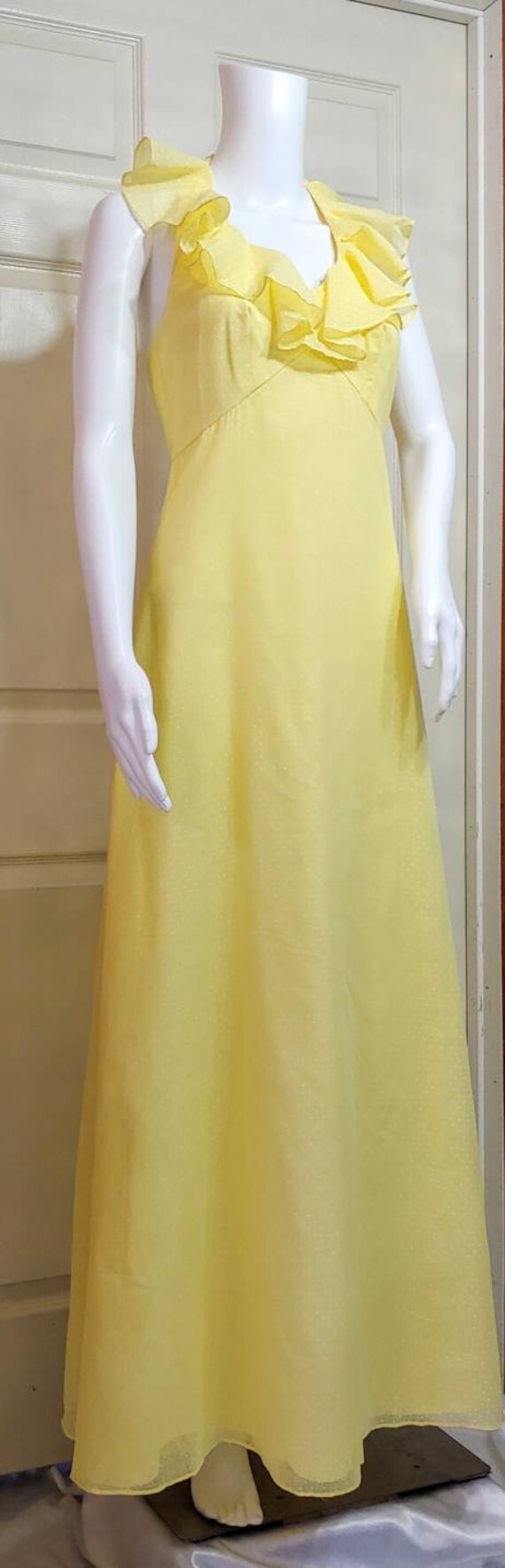 Vtg Hostess Gown - image 2