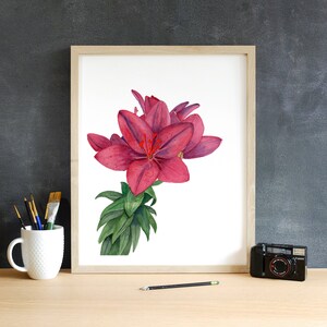 Peinture à l’aquarelle de lys asiatiques, Peinture de lys rouges, Lys à l’aquarelle, Impression de lys, Impressions d’art floral, Carte postale de lys