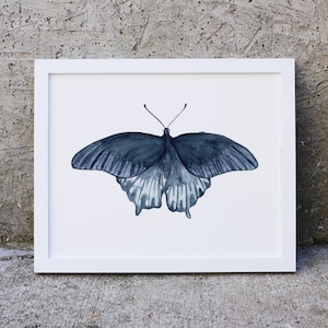 Indigo Butterfly Art Print, Butterfly Gifts, Butterfly Print, Butterfly Wings, Butterfly Watercolour Art, Watercolour Butterfly, Butterflies