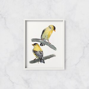 Gold Finches Aquarelle Art Print Profitez du moment, Gold Finch Art, Yellow Bird Painting, Bird Art Prints, Yellow and Grey Wall Art, Card