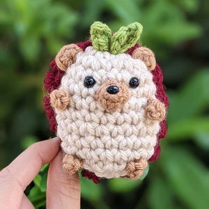 May include: A crocheted hedgehog toy with a brown nose, black eyes, and a green leaf on its head. The hedgehog is beige with a burgundy-colored underside.