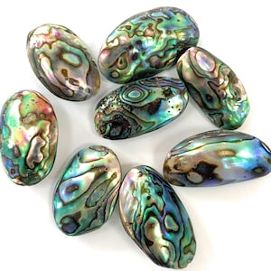 May include: A collection of oval-shaped abalone shells with iridescent, swirling patterns of green, blue, purple, and gold. The shells have a smooth, polished surface and vary slightly in size and color. These shells are often used for jewelry or decorative purposes.