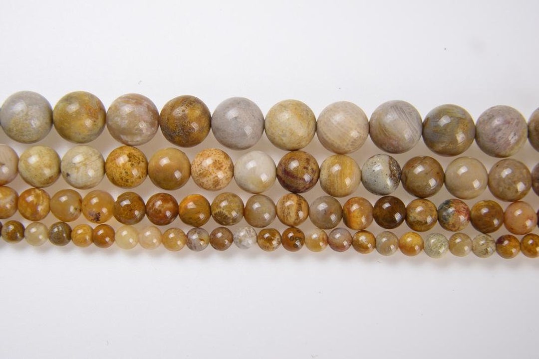 Bamboo Coral Gemstone Beads in 4MM, 6MM, 8MM, 10MM, 12MM, 14MM Etsy