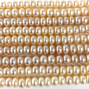 May include: A strand of cream-colored freshwater pearls. The pearls are round and smooth, with a slight iridescent sheen. They are strung on a clear thread.