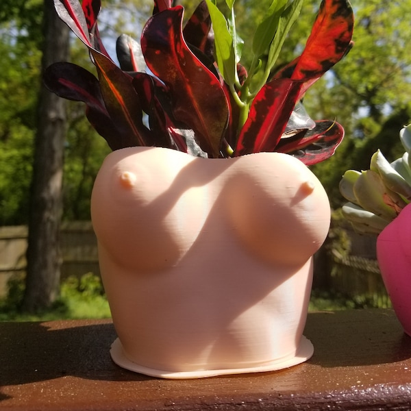 Aphrodite Sukkulenten Pflanzer - Bobbie Planter - Titty Plant Tray - Gartendekoration - Streich Geschenk