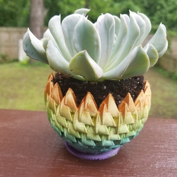 Dragon Egg Succulent Planter - Dragon Egg Dice Bowl