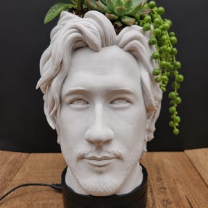 May include: A white 3D-printed planter shaped like a human head with wavy hair, containing a green succulent and a string of pearls plant. The head sits on a black circular base with a power cord. A card with the text MoonRabbit Trinkets is in front.