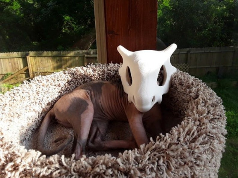 Unique Cubone Dog Mask / Dinosaur Bone Mask / Dog Costume / Etsy