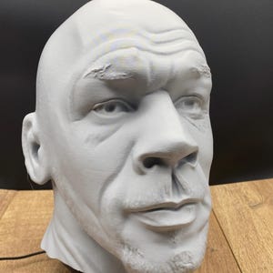 May include: A gray bust of a man's head, with detailed facial features. The sculpture is set on a wooden surface, with two business cards featuring a logo and the text "Ms. Rabbit Trinkets" visible in the foreground.