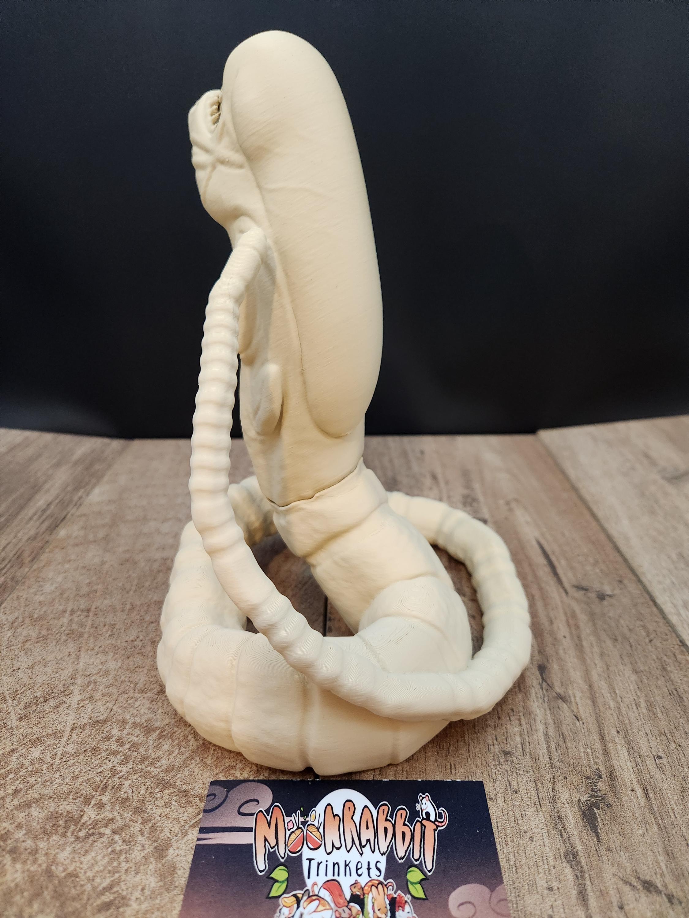 Lifesize Chestburster - Xenomorph Alien Gaming Decor - Horror Lover ...