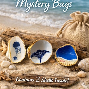 Painted shells mystery bags