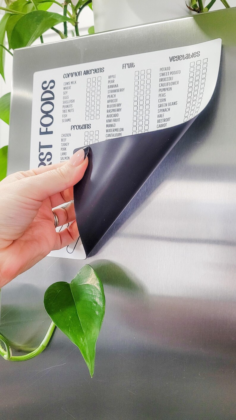 Pu&ograve; includere: Un elenco di controllo magnetico bianco con testo nero per tenere traccia delle allergie alimentari, delle proteine, della frutta e della verdura. L'elenco di controllo ha caselle di controllo accanto a ciascun alimento. L'elenco di controllo &egrave; attaccato a un frigorifero in acciaio inossidabile.