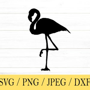Flamingo svg, Animal SVG, svg, png, dxf, jpeg, Digital Download, Cut File, Cricut, Silhouette, Glowforge, Svg files for cricut