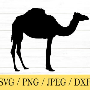 Cammello svg, animale SVG, svg, png, dxf, jpeg, download digitale, file di taglio, Cricut, Silhouette, Glowforge, file Svg per Cricut