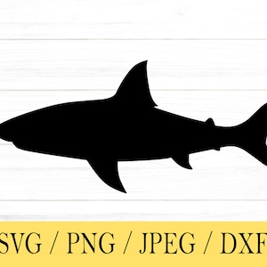 Shark svg, Animal SVG, svg, png, dxf, jpeg, Digital Download, Cut File, Cricut, Silhouette, Glowforge, Svg files for cricut