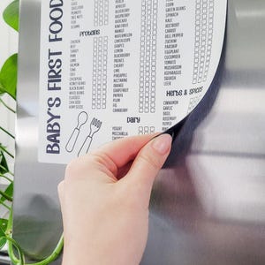 Pu&ograve; includere: Una lavagna magnetica bianca con bordo nero e il testo "Baby's First Foods" in nero. La lavagna elenca gli allergeni comuni, le proteine, la frutta, la verdura, le erbe e le spezie e i prodotti lattiero-caseari. Ogni voce ha una casella di controllo accanto.