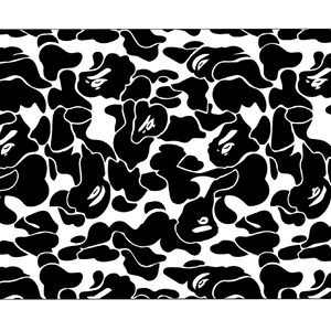 bape vans stencil