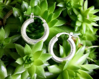 Silver Creole earrings 925/1000 Diameter 16mm