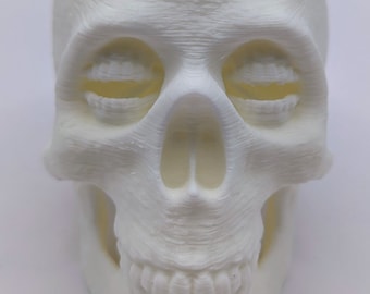 Corinthian Sandman Skull