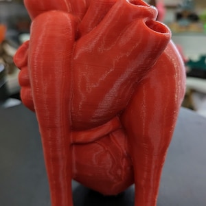 May include: A 3D printed anatomical heart model, made of red plastic. The model is detailed and realistic, with visible chambers and vessels.