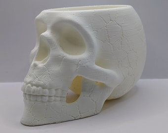 Cracked skull planter