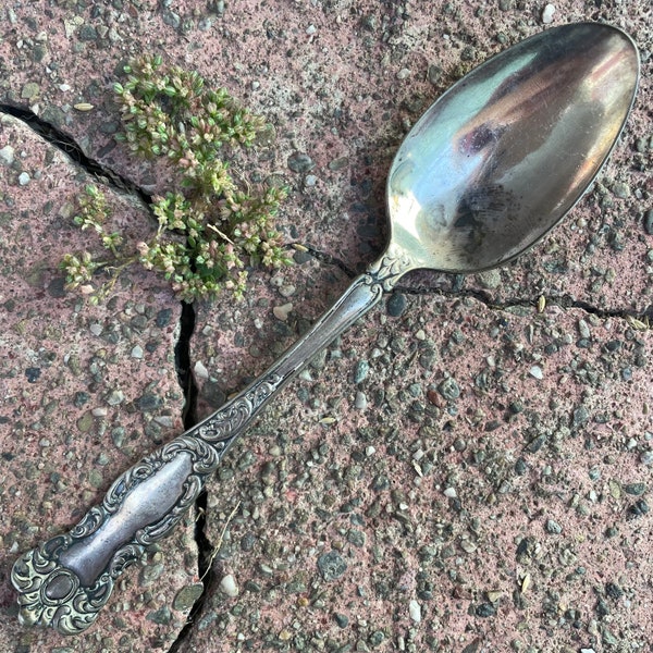 1900s 1901 Antique Vintage WM Rogers & Son AA Oxford spoon teaspoon silverplate silver plated metal patina acanthus ornate Baroque Victorian