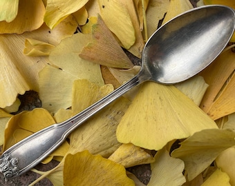 1800s 1900s 1912 ANTIQUE VINTAGE WM Rogers x12 Champlain silverplate teaspoon silver plated all metal spoon acanthus ornate Alfred G. Kintz