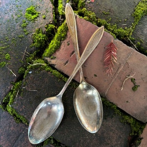 30s 1934 VINTAGE WM A Rogers Debutante Grandeur Princess serving spoons matching set of 2 silverplate silver plated metal no monogram patina