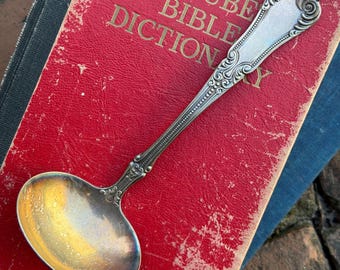 1800s, 1900s ANTIEKE VINTAGE Rogers Bros A1 lotuspatroon verzilverd verzilverde metalen pollepel saus opscheplepel acanthus sierlijke patina 7"