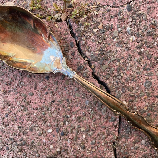 60s 1965 VINTAGE INTERNATIONAL Deep Silver Wakefield sugar shell spoon silver tone metal scroll edge patina cottagecore pretty traditional