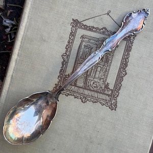 60s 1965 VINTAGE INTERNATIONAL Deep Silver Wakefield sugar shell spoon silver tone metal scroll edge patina cottagecore pretty traditional