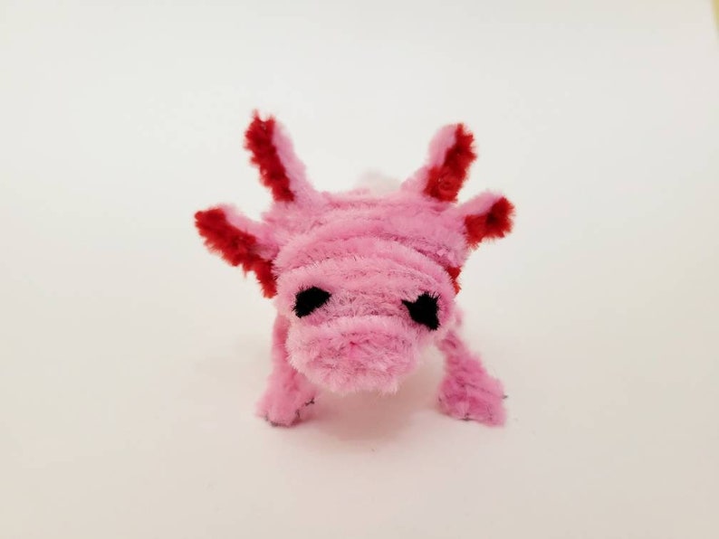 Axolotl Pipe Cleaner Animal Etsy Canada