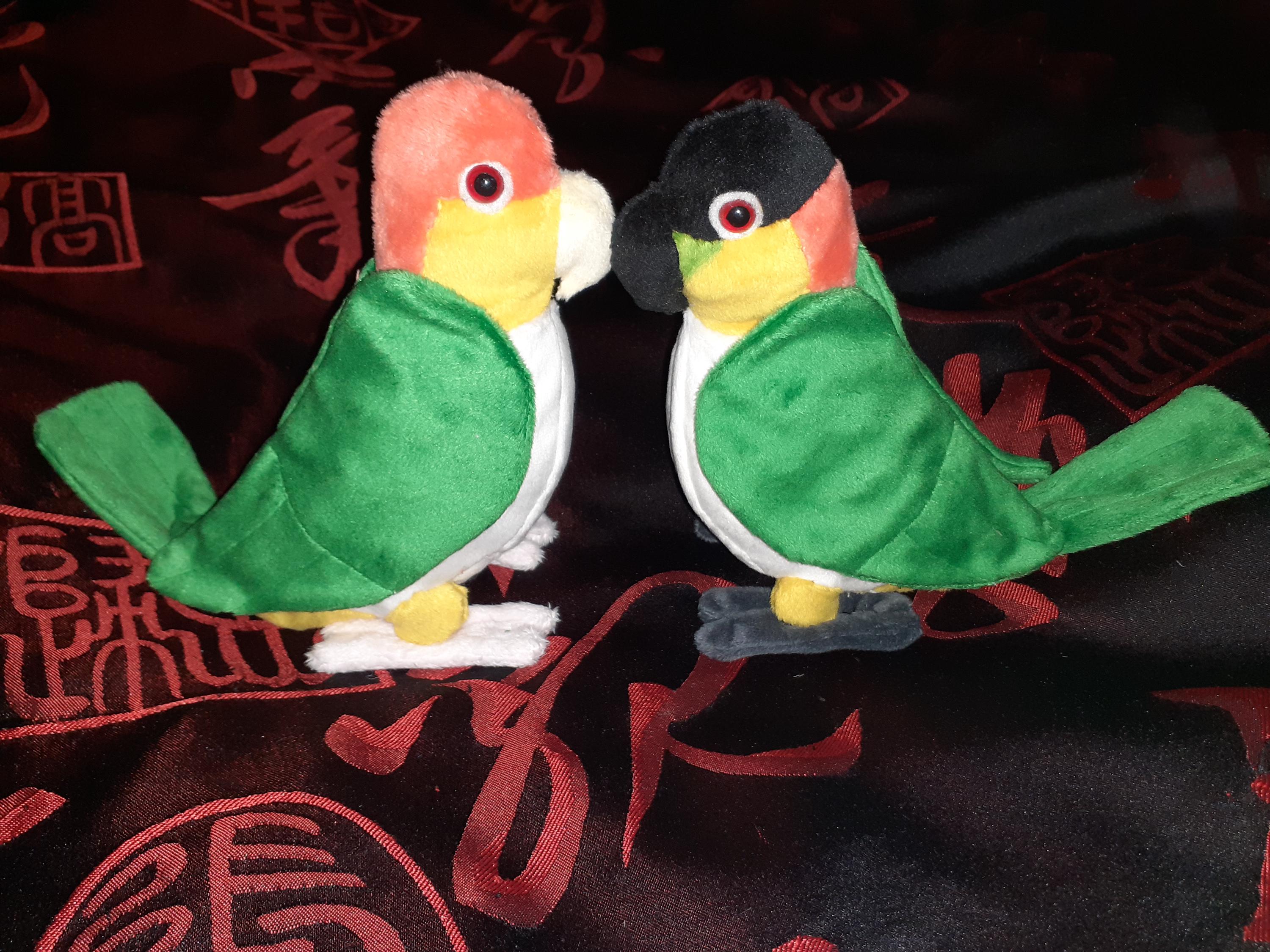 Caique Plush Etsy
