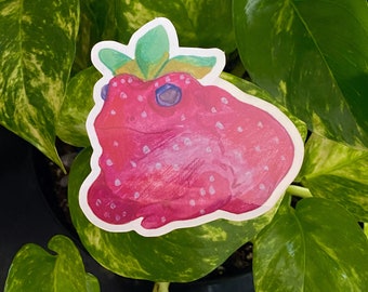 Erdbeeren Frosch Vinyl Aufkleber