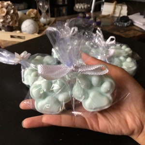 Blue Raspberry scented - Set of 2 - Donkey Milk Soap