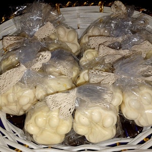 Grapefruit Scented Soap - Set of 2 - Donkey Milk Soap