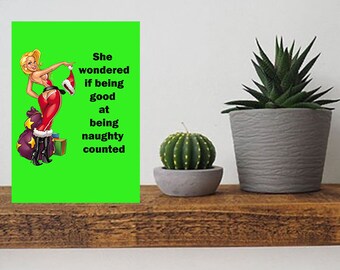 May include: A green card with a cartoon image of a woman in a Santa outfit, holding a stocking. Text on the card reads: "She wondered if being good at being naughty counted." A small cactus and a potted plant sit on a wooden shelf.