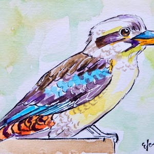Hand Painted Watercolour Postcard | Australian Animals | Original Artwork