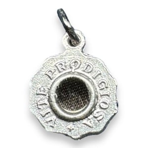St Rita Miraculous Vine Relic Medal – Silver tone pendant with Reliquary