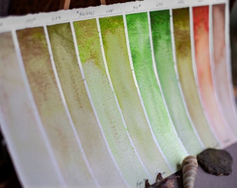 Handmade watercolor SEA SERPENTS - green GRANULATING series pink red brown, violet artisan quality pigment, art, sketching, painting, craft