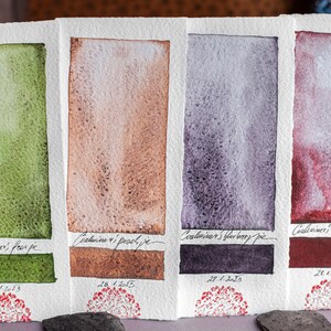 Könnte beinhalten: Vier Aquarell-Farbmuster auf weißem Papier, beschriftet mit "Caoliver's pear pie", "Catarine vi pooch je", "Caoliver's blueberry pie" und "Caoliver's Cherry Pie". Jedes Muster ist in einem anderen Farbton von Grün, Braun, Lila und Rot.