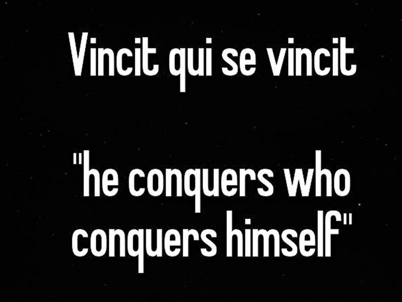 Vincit Qui Se Vincit Coin UPGRADED Latin Motivational Life Quote EDC Reminder Coins Stoic Unique Gift Everyday Carry Challenge Coin image 6