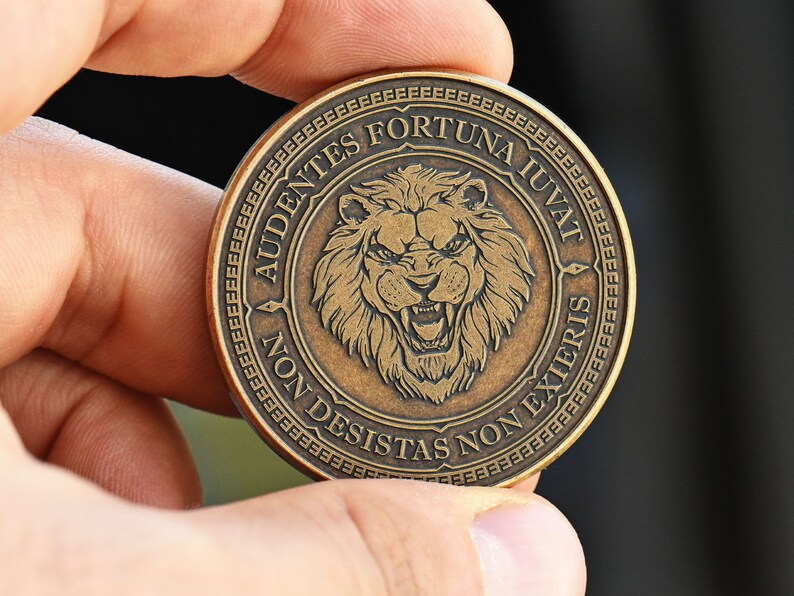 Audentes Fortuna Iuvat Coin Reminder Coin EDC Coin Gift Etsy Singapore