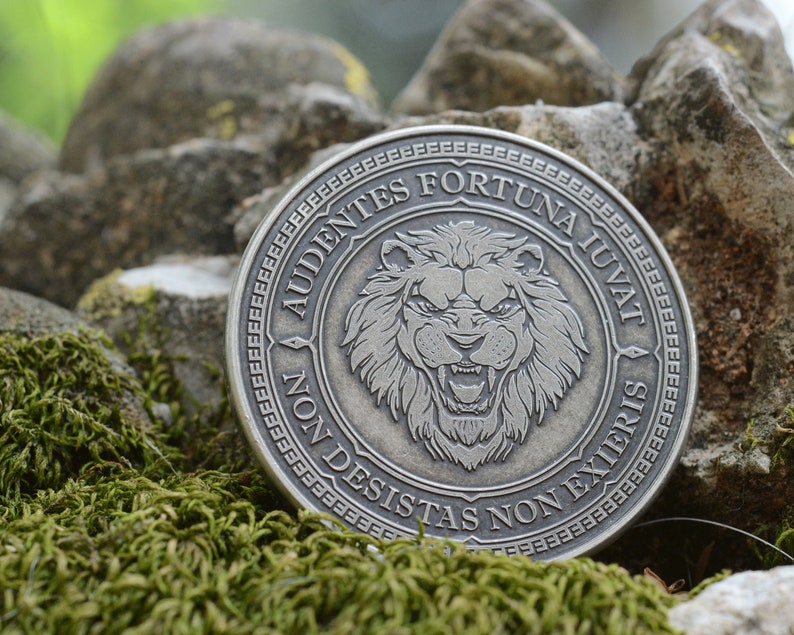 Audentes Fortuna Iuvat / Lion Coin / EDC Reminder Coin / EDC Etsy