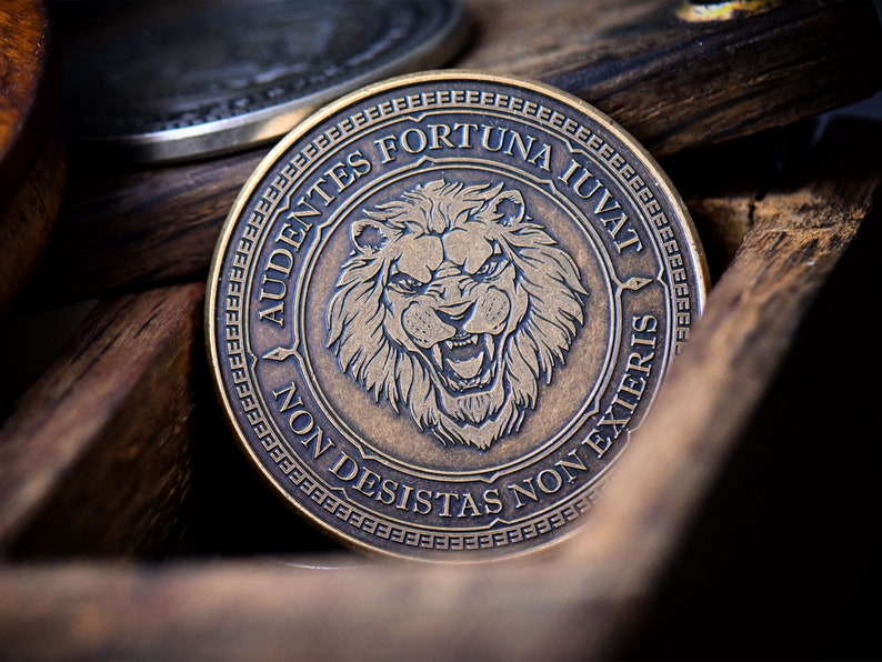 Audentes Fortuna Iuvat Coin Reminder Coin EDC Coin Gift Etsy Singapore