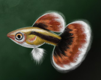 Guppy PNG - Realism Painting Guppy Fish - DIGITAL DOWNLOAD - Gift for Friend - Aquarium Fish Lover