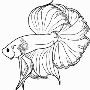 Betta PNG - Betta Line Art - DIGITAL DOWNLOAD - Gift for Friend - Aquarium Fish Lover