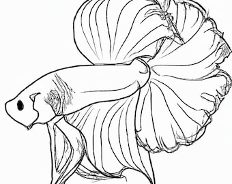 Betta PNG - Betta Line Art - DIGITAL DOWNLOAD - Gift for Friend - Aquarium Fish Lover